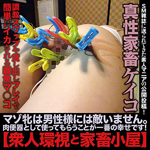 ケイコ 8 / 変態マニア本舗【SACZ-094】